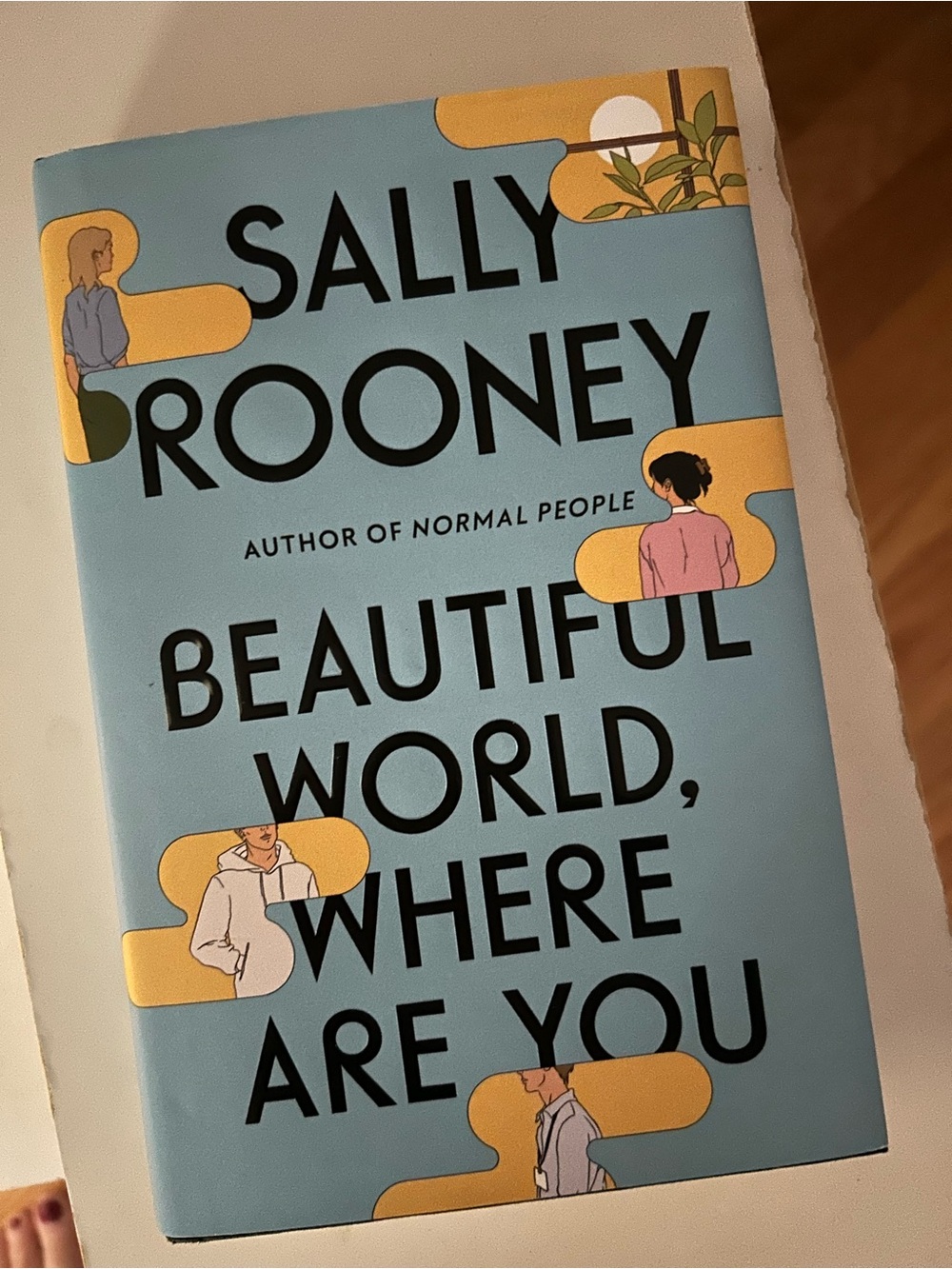 Beautiful World, Where are You Book